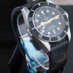 Tudor Black Bay 79230N 2024