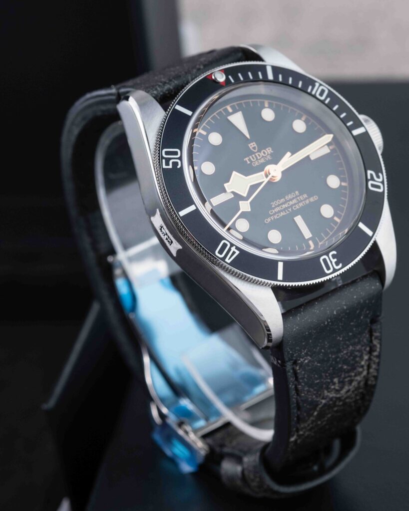 Tudor Black Bay 79230N 2024
