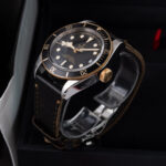 Tudor Black Bay S&g 79733N 2020