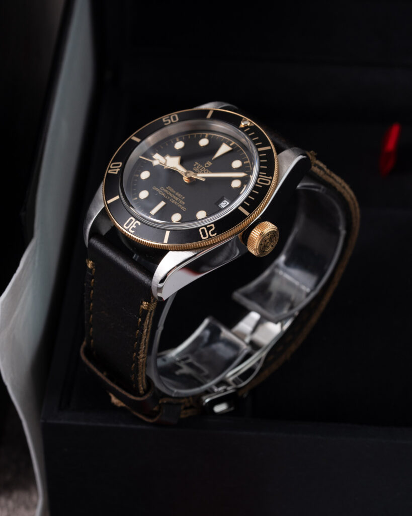 Tudor Black Bay S&g 79733N 2020