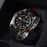 Tudor Black Bay S&g 79733N 2020