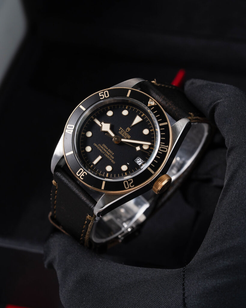 Tudor Black Bay S&g 79733N 2020