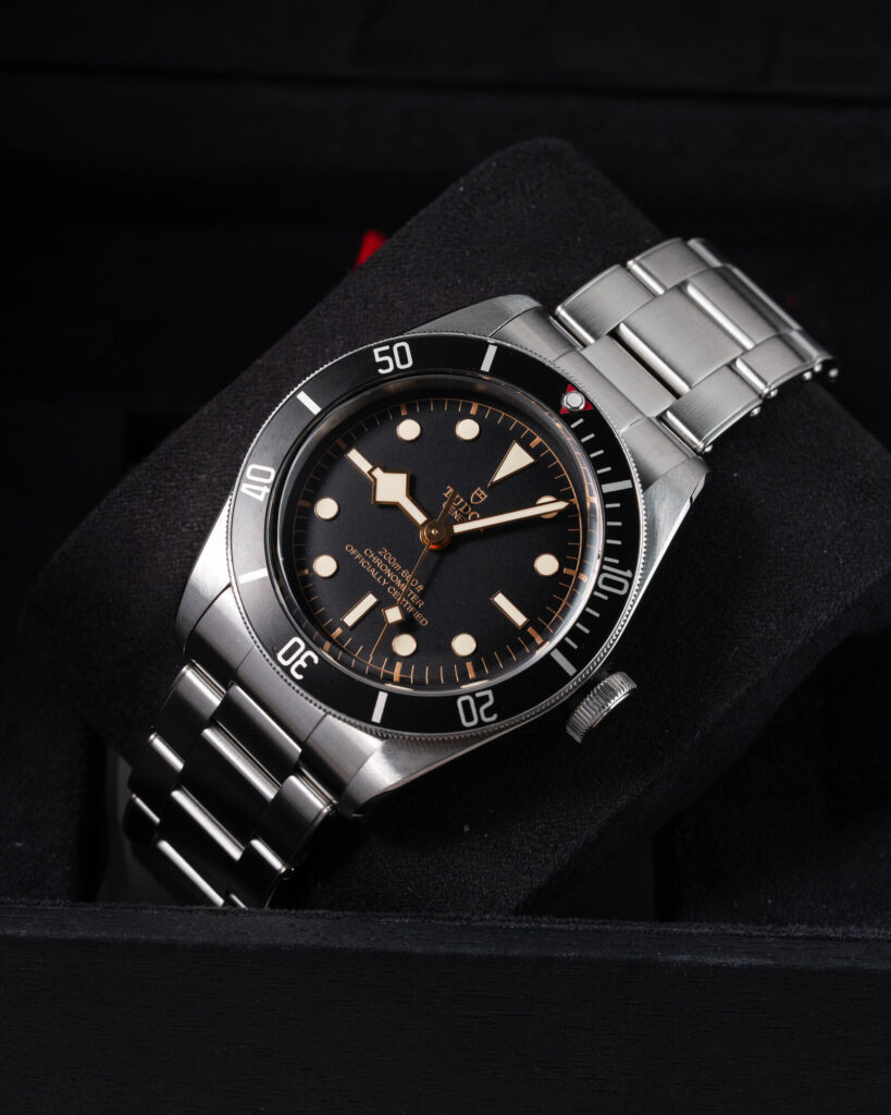 Tudor Black Bay 79230N 2019