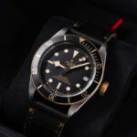 Tudor Black Bay S&g 79733N 2020