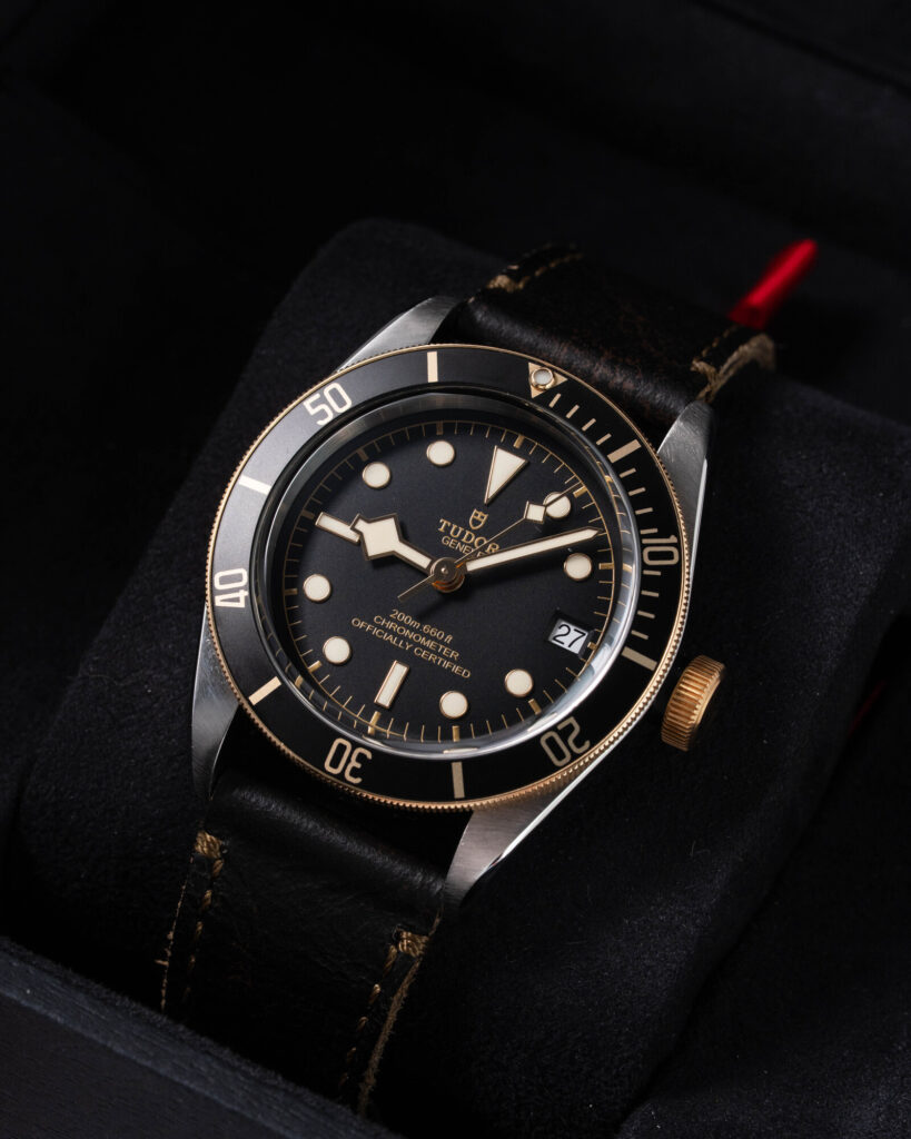 Tudor Black Bay S&g 79733N 2020