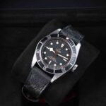 Tudor Black Bay 79230N 2024