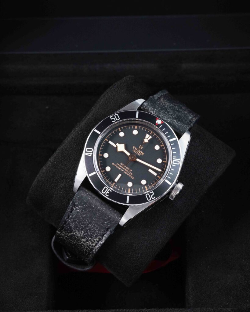 Tudor Black Bay 79230N 2024