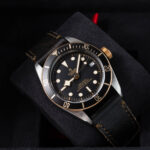 Tudor Black Bay S&g 79733N 2020