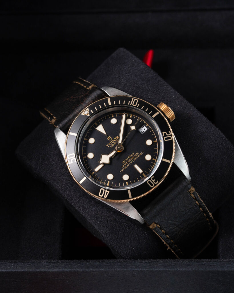 Tudor Black Bay S&g 79733N 2020