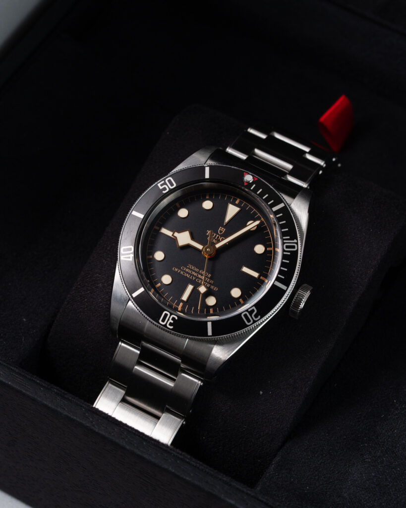 Tudor Black Bay 79230N 2019