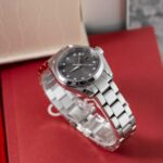 Omega Seamaster Aqua Terra 231.10.30.60.56.001 2013