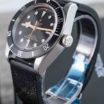 Tudor Black Bay 79230N 2024