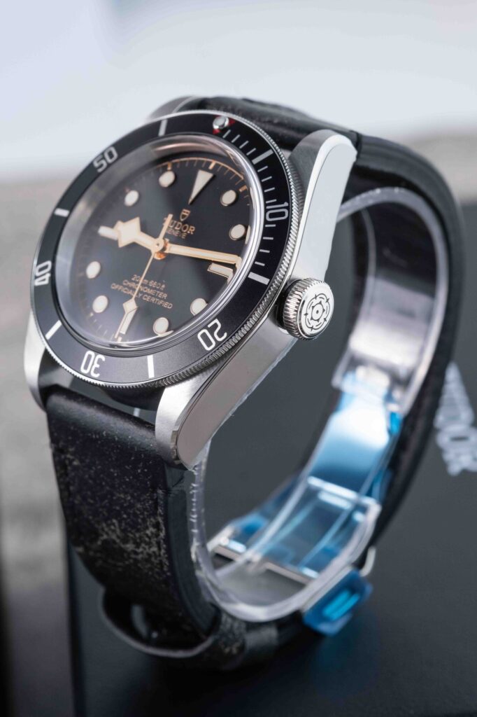 Tudor Black Bay 79230N 2024