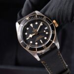 Tudor Black Bay S&g 79733N 2020