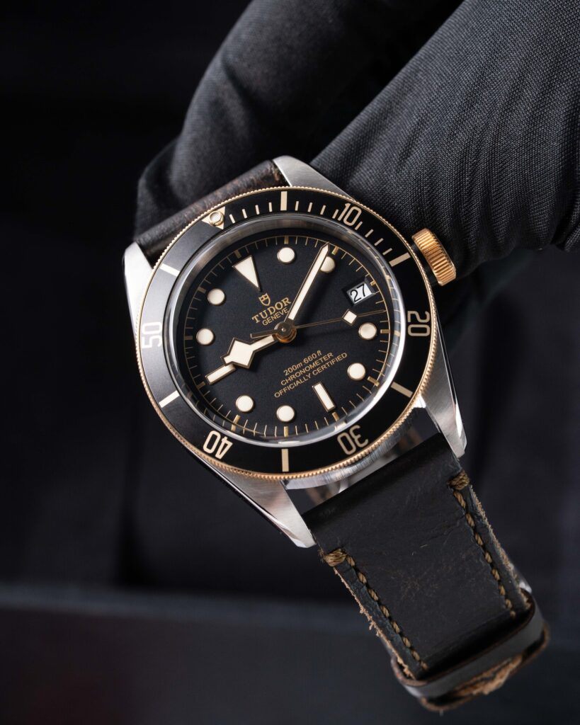 Tudor Black Bay S&g 79733N 2020