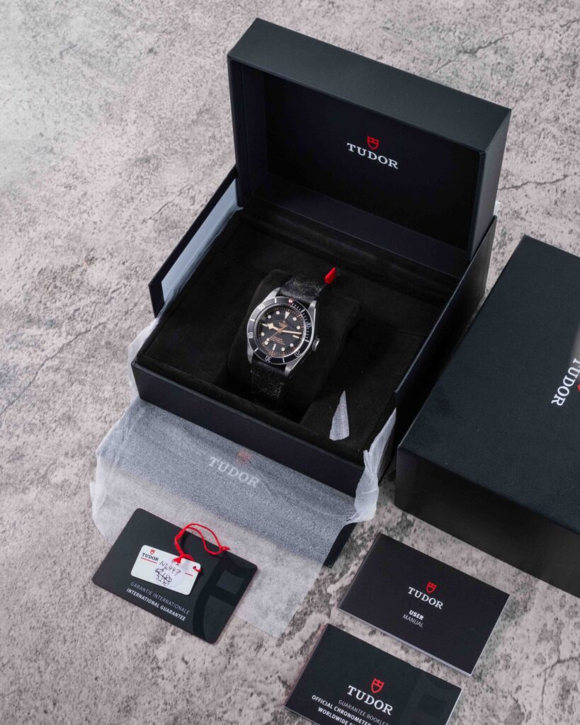 Tudor Black Bay 79230N 2024
