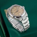 Rolex Oyster Perpetual 134300 2025