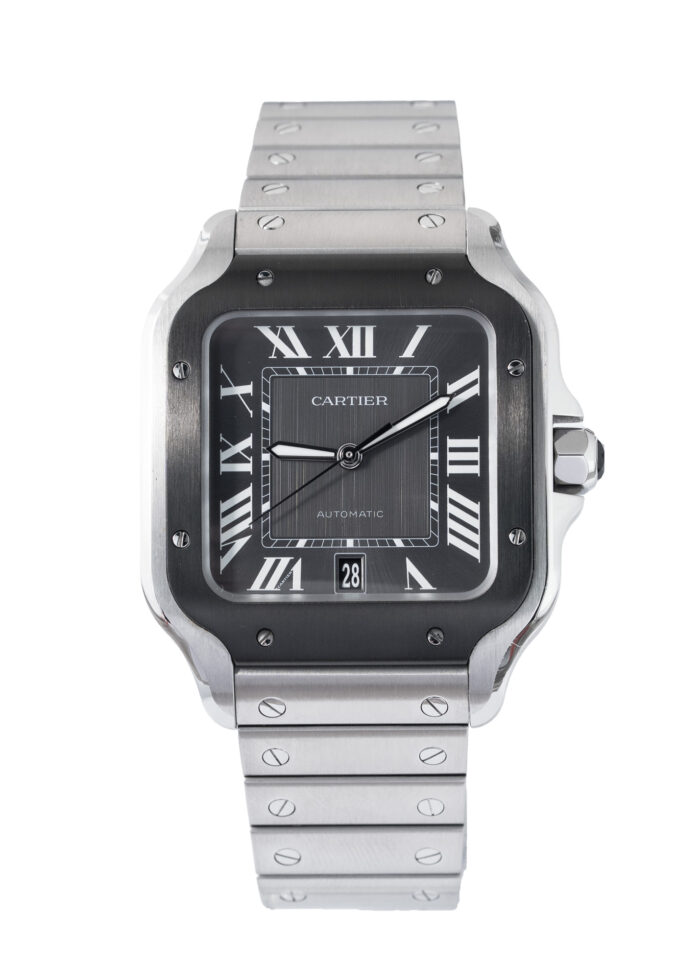 Cartier Santos De Cartier WSSA0037 2021