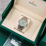 Rolex Oyster Perpetual 134300 2025