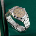 Rolex Oyster Perpetual 134300 2025
