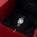 Cartier Panthère WSPN0006 2024