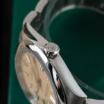 Rolex Oyster Perpetual 134300 2025