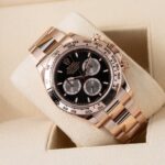 Rolex Daytona 126505 2024