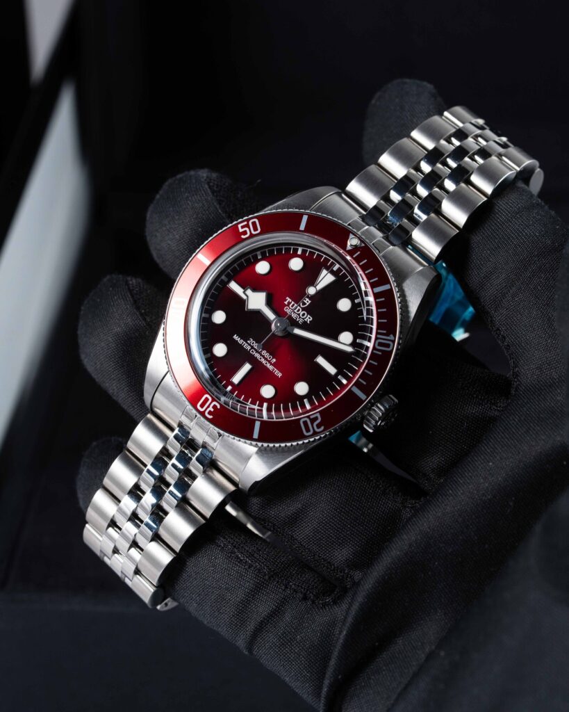 Tudor Black Bay