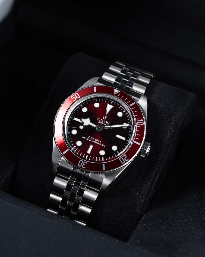 Tudor Black Bay