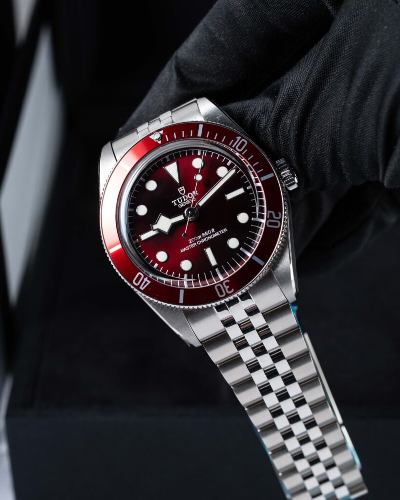 Tudor Black Bay