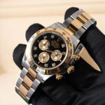 Rolex Daytona 126503 2024