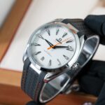 Omega Seseamaster Aqua Terra 220.12.41.21.02.002 2025