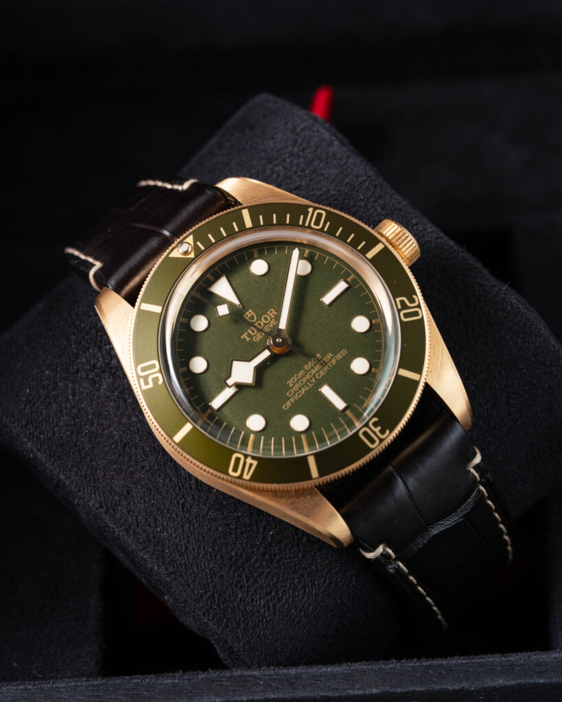 Tudor Black Bay 79018V 2025