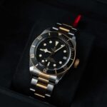Tudor Black Bay S&g 79733N 2022