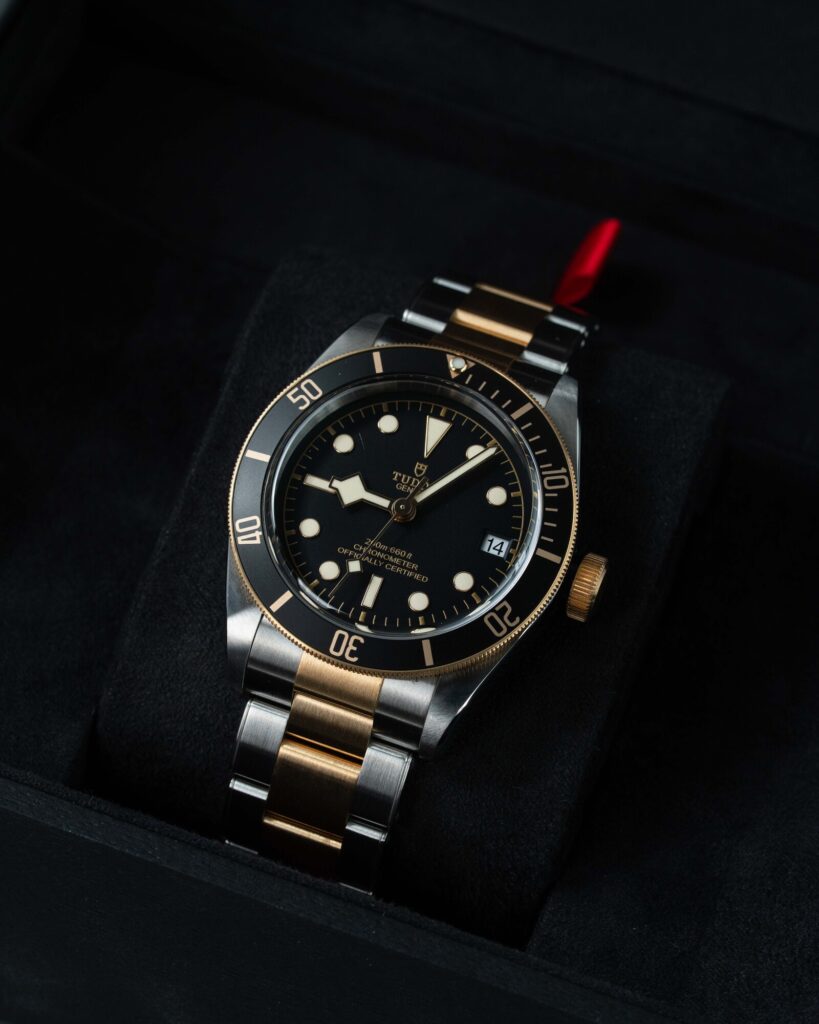 Tudor Black Bay S&g 79733N 2022