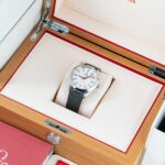 Omega Seseamaster Aqua Terra 220.12.41.21.02.002 2025