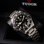 Tudor Pelagos 25610TNL 2019
