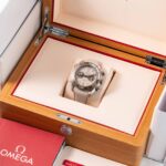 Omega Planet Ocean Chronograph 215.32.46.51.09.001 2025
