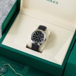Rolex Sky-Dweller 336239 2025