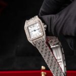 Cartier Panthere De Cartier WSPN0006 2018