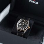 Tudor Black Bay