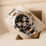 Rolex Daytona 126503 2024