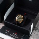 Tudor Black Bay 79018V 2025