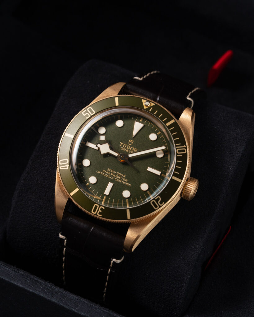 Tudor Black Bay 79018V 2025