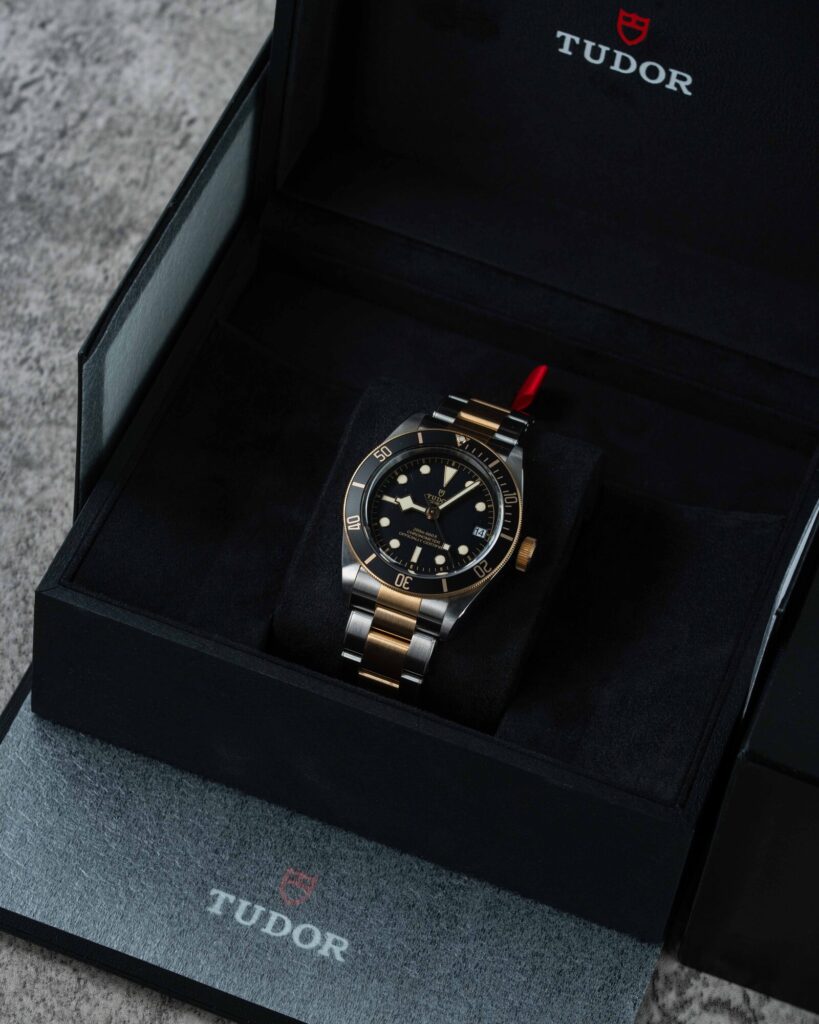 Tudor Black Bay S&g 79733N 2022