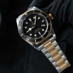 Tudor Black Bay S&g 79733N 2022