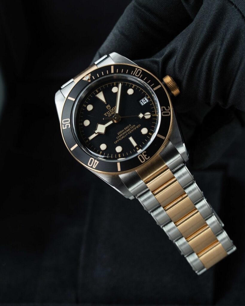 Tudor Black Bay S&g 79733N 2022