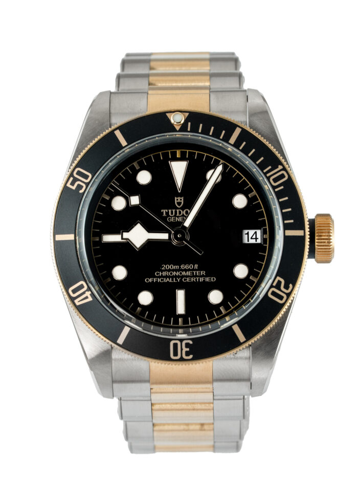 Tudor Black Bay S&g 79733N 2022