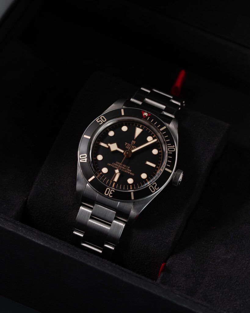 Tudor Black Bay 58 79030N 2021