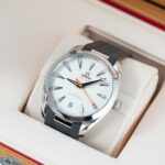Omega Seseamaster Aqua Terra 220.12.41.21.02.002 2025
